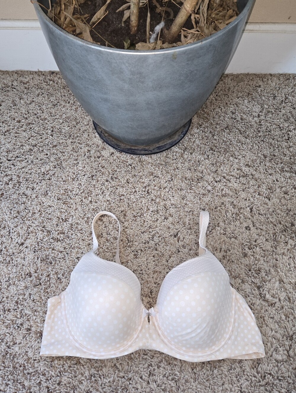 Victoria's Secret Body by Victoria Lined Demi Bra 40C